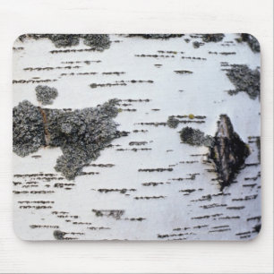 Birch tree in forest, detail, with moss mouse mat