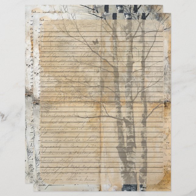 Birch Tree Old Manuscript  Custom Letterhead (Front/Back)
