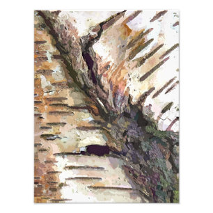 BIRCH TREE PHOTO PRINT