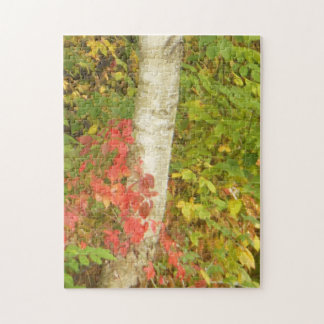 Birch Tree Trunk Jigsaw Puzzle