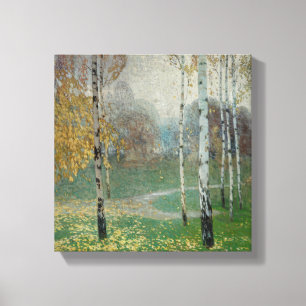 Birch Trees, 1904 (oil on canvas) Canvas Print