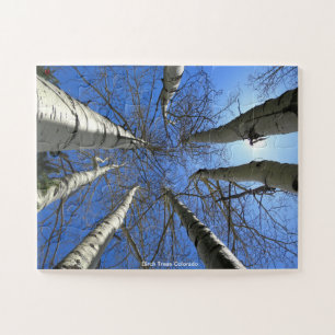 Birch Trees Colorado Jigsaw Puzzle