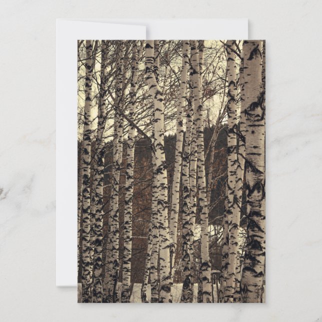 Birch Trees Forest Nature Invitation (Front)