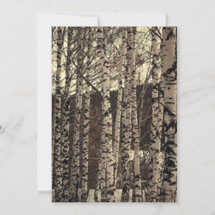Birch Trees Forest Nature Invitation