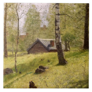 Birch Trees in the Swedish Countryside (Jansson) Tile