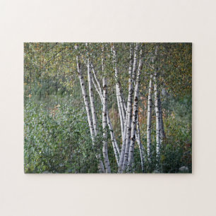 Birch trees jigsaw puzzle