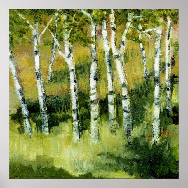 Birch Trees Poster (Front)