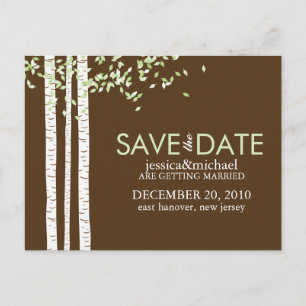 Birch Trees Save the Date Wedding Announcement Postcard