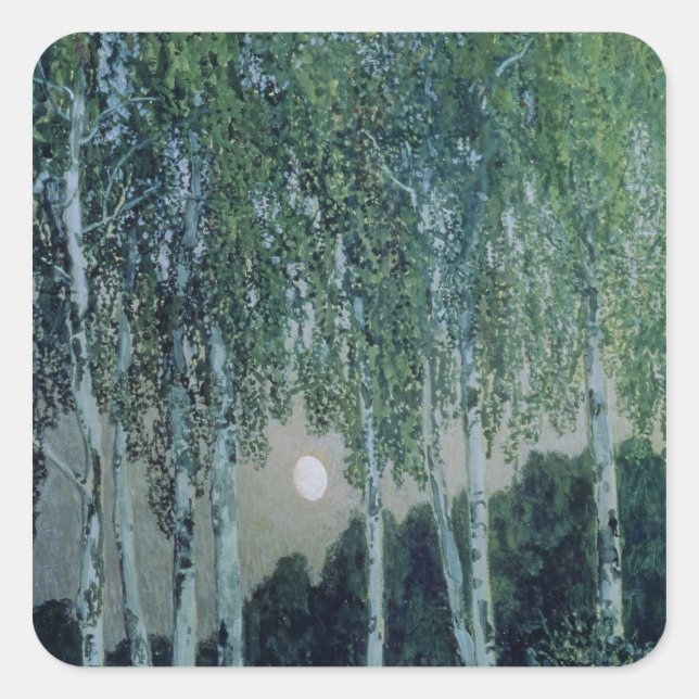 Birch Trees Square Sticker (Front)