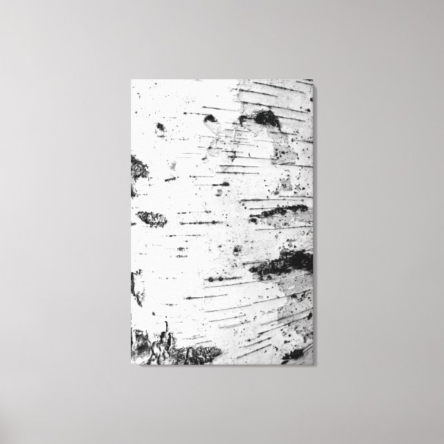 Birch trunk canvas print (Front)
