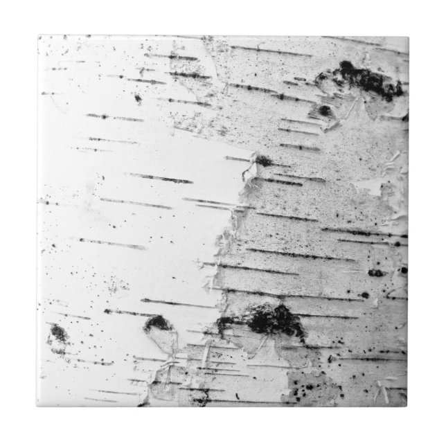 Birch trunk tile (Front)