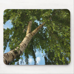 birch umbrella mouse mat