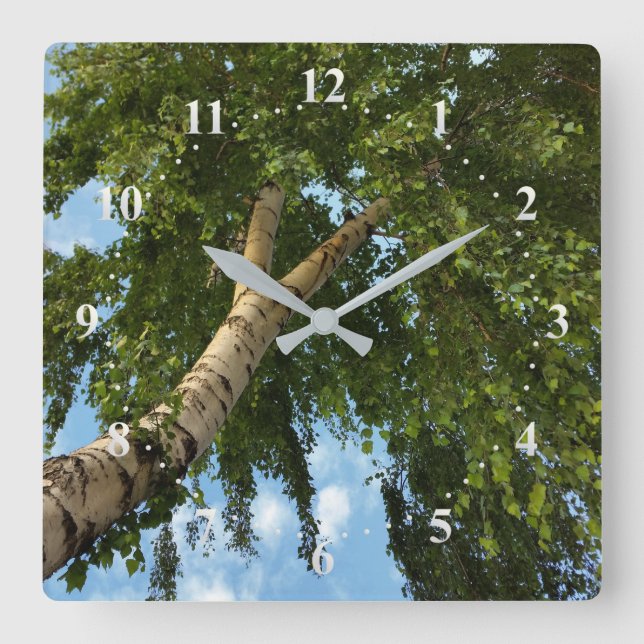 birch umbrella square wall clock (Front)