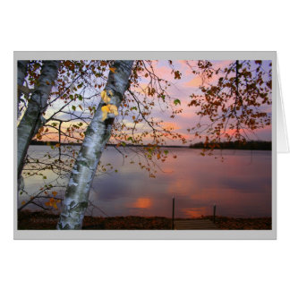 birch view