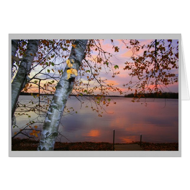birch view (Front Horizontal)