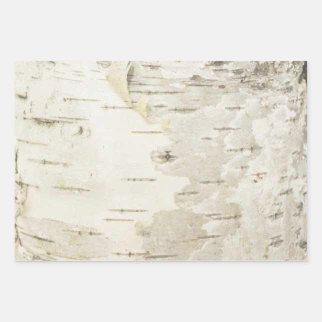 Birch Wrapping Paper Nature Birch Bark Paper (Front)