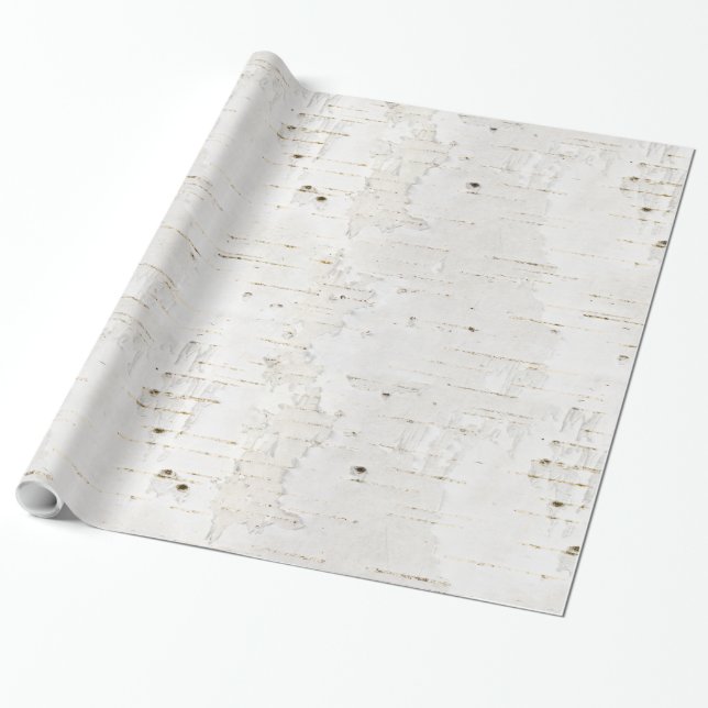 Birchbark Wrapping Paper (Unrolled)