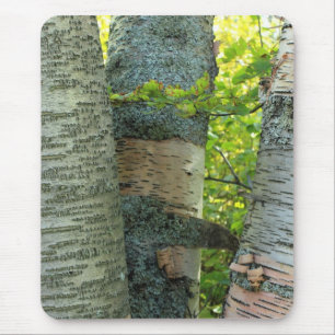 BirchTree Mouse Mat