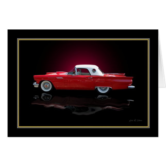 bird (Front Horizontal)