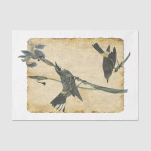 Bird 32 Decoupage Tissue Paper