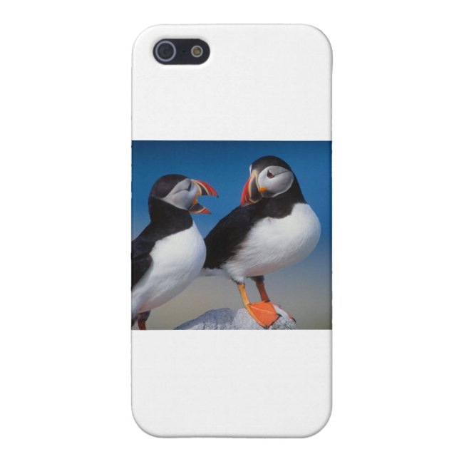 bird a pair of puffins iPhone case (Back)