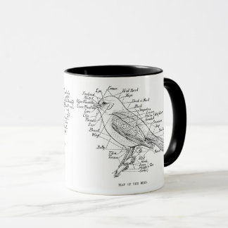 bird anatomy mug