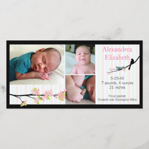 Bird and Blossoms in Pink Photo Birth Announcement