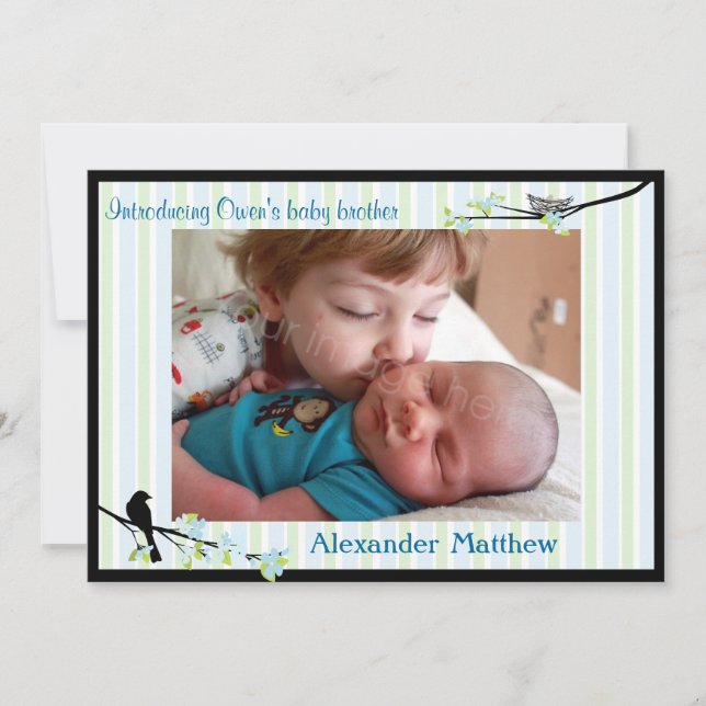 Bird and Blossoms Photo Birth Announcement Blues (Front)