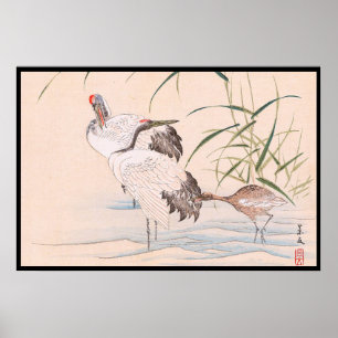 Bird and Flower Album, Wading Cranes vintage art Poster