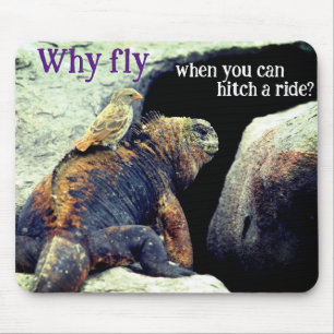 Bird and Marine Iguana Mouse Mat