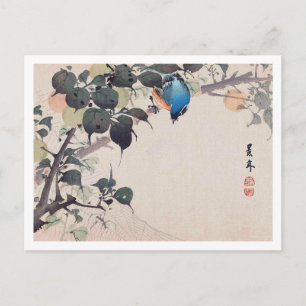 Bird and Spider, Imao Keinen Postcard