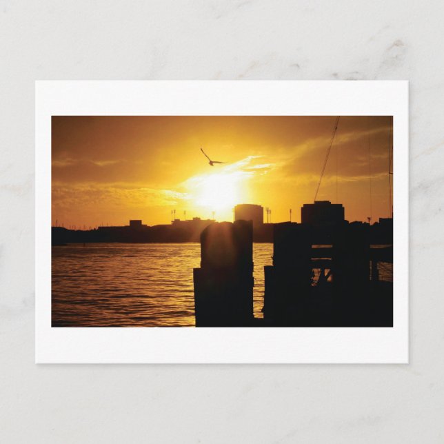 Bird and sunset postcard (Front)