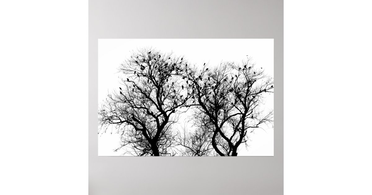 Bird and tree silhouette. poster | Zazzle.co.uk