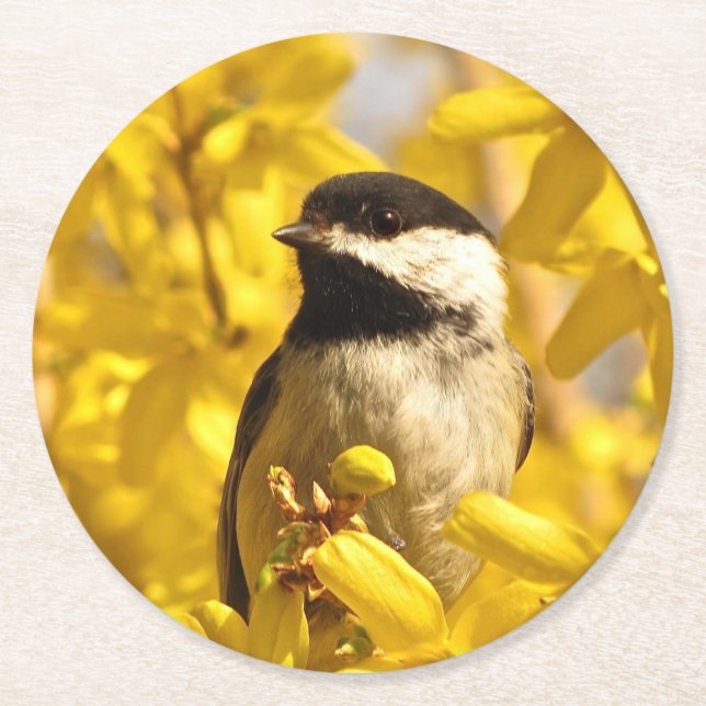 Bird and Yellow Flowers Round Paper Coaster (Front)