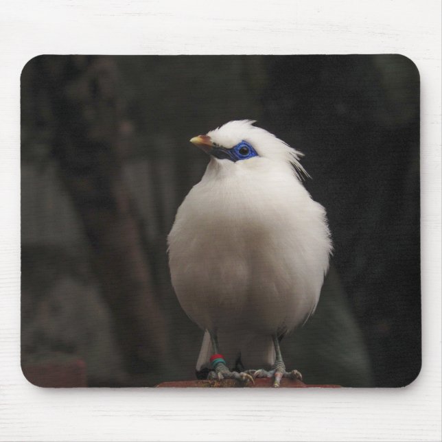 bird, animal, nature mouse mat (Front)