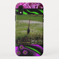 Bird Animals Nature Home Office Destiny'S Destiny