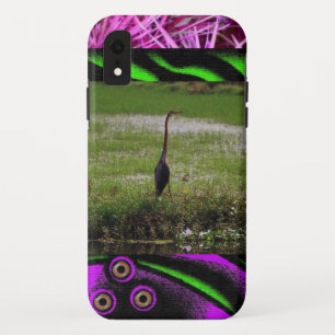 Bird Animals Nature Home Office Destiny'S Destiny iPhone XR Case