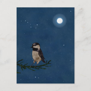 Bird Art, at Night with Moon, Big Dipper, Stars Postcard