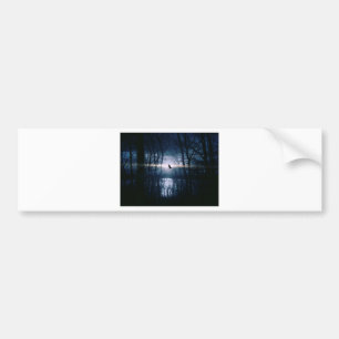 Bird at moonlight bumper sticker