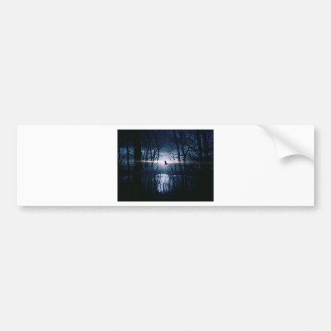 Bird at moonlight bumper sticker (Front)