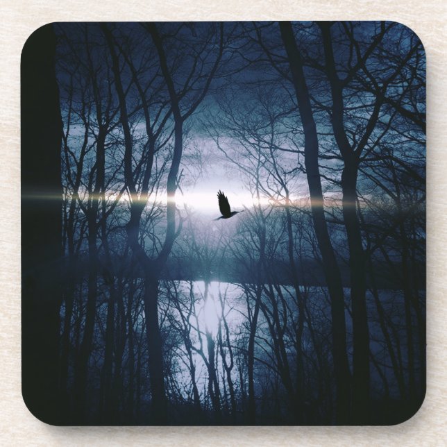 Bird at moonlight coaster (Front)