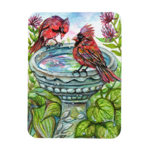 Bird Bath Magnet