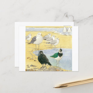 Bird Beach Wildlife Jackdaw Gull Sea Postcard