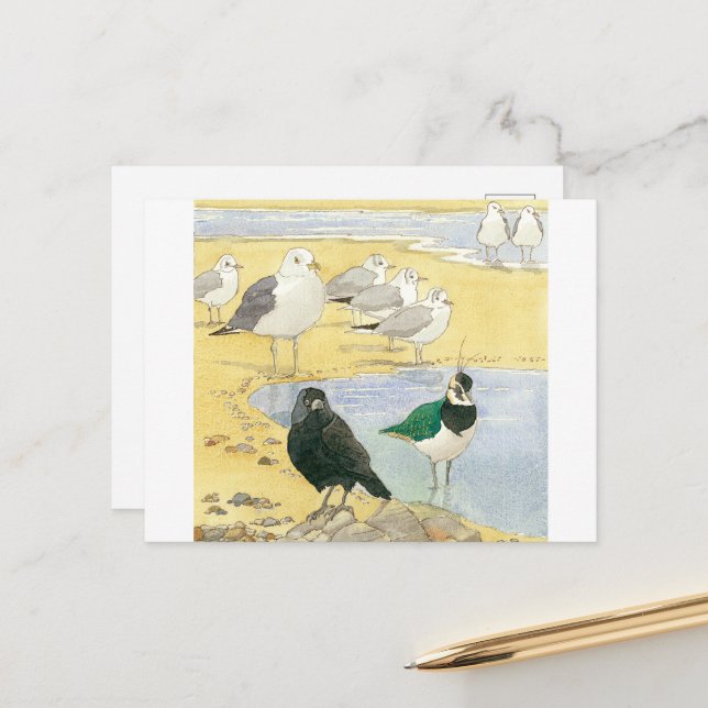 Bird Beach Wildlife Jackdaw Gull Sea Postcard (Front/Back In Situ)