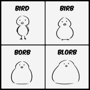 bird_birb_borb_blorb_t_shirt-r1489b6b9ca6e41e59b55d7d7e77180b3_jyr60_307.jpg