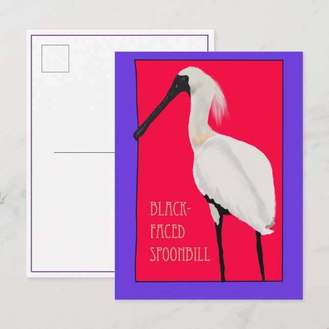 Bird -- Black Faced Spoonbill Postcard (Front/Back)