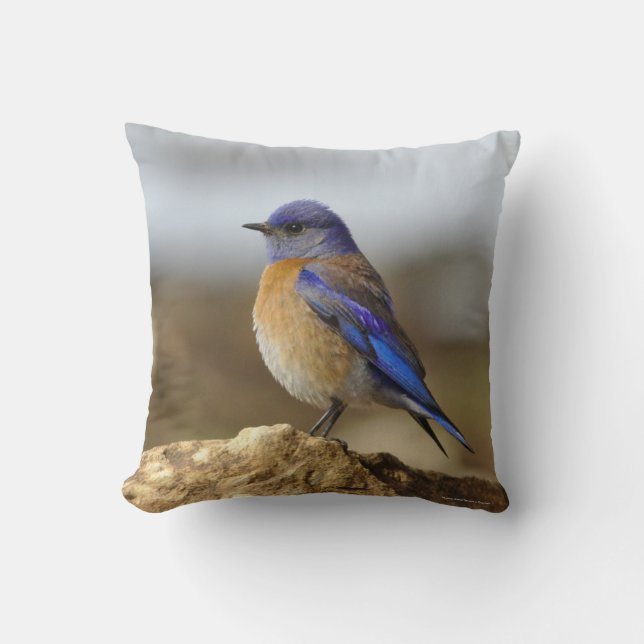 Bird, Bluebird, 2-sided, Cushion (Front)