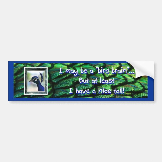 Bird Brain Bumper Sticker, Peacock framed head Sticker (Front)