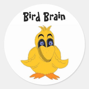 Bird Brain Funny Saying Classic Round Sticker