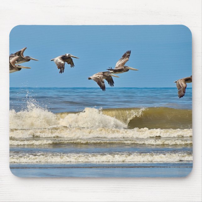 Bird, brown pelican, wildlife mouse mat (Front)